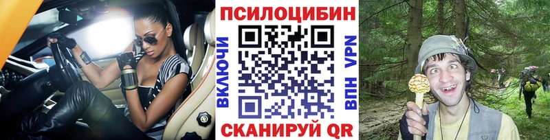 Галлюциногенные грибы ЛСД цена наркотик OMG зеркало Заозёрск